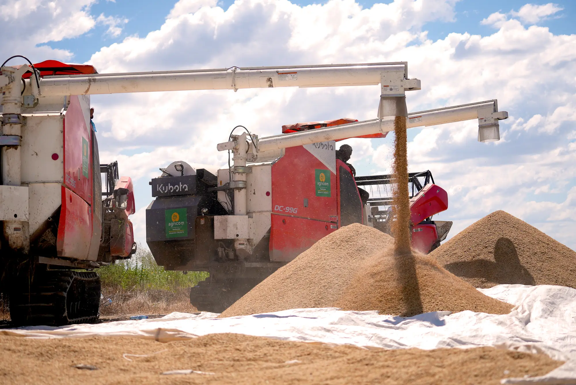Agriculture